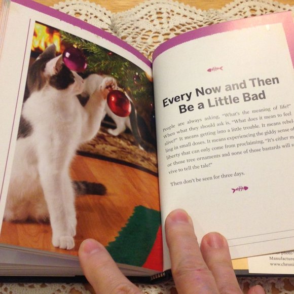 Cat Humor Book, cat advice - You need more sleep - Picture 7 of 8
